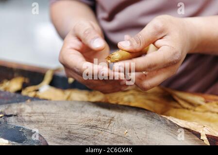 Stock di sigari fatti a mano.tradizionali di fabbricazione dei sigari. Repubblica Dominicana Foto Stock