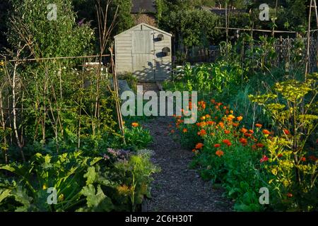 tipica assegnazione inglese Foto Stock