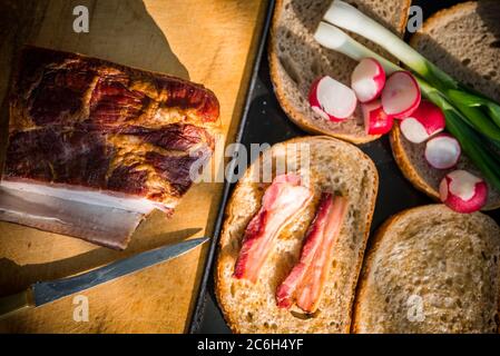 Fetta di pancetta grigliata su pane grasso con cipolla verde e rafano fresco in una grigliata ungherese estiva. Barbecue di fondo. Vista dall'alto Foto Stock