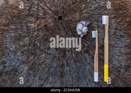 Due spazzolini da denti in legno di bambù ecologici, bianchi e gialli, su sfondo di legno con guscio. Spazio di copia, disposizione piatta. Foto Stock