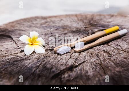 Due spazzolini da denti in legno di bambù ecologici bianchi e gialli su sfondo di legno con fiore bianco giallo Plumeria. Foto Stock