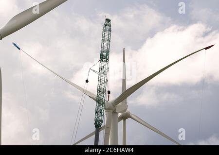 LARKHALL, Scozia, Regno Unito. 10 luglio 2020. Nella foto: Una turbina eolica enorme si erge a poche centinaia di metri di altezza con una gru industriale massiccia con una trave di prolunga all'estremità per fornire dei supporti di altezza extra accanto alla turbina che tiene in posizione la struttura della pala. L'energia verde è un'impresa importante, e se il Regno Unito intende archiviare i propri obiettivi per l'energia rinnovabile, allora occorre costruire più turbine eoliche onshore e offshore. Credit: Colin Fisher/Alamy Live News Foto Stock