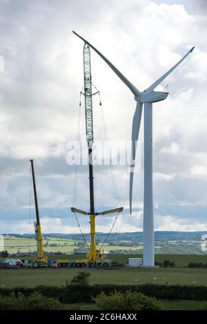 LARKHALL, Scozia, Regno Unito. 10 luglio 2020. Nella foto: Una turbina eolica enorme si erge a poche centinaia di metri di altezza con una gru industriale massiccia con una trave di prolunga all'estremità per fornire dei supporti di altezza extra accanto alla turbina che tiene in posizione la struttura della pala. L'energia verde è un'impresa importante, e se il Regno Unito intende archiviare i propri obiettivi per l'energia rinnovabile, allora occorre costruire più turbine eoliche onshore e offshore. Credit: Colin Fisher/Alamy Live News Foto Stock