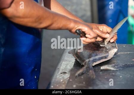Pesce appena pescato tagliato, raccordato e preparato per la vendita direttamente dal porto. Foto Stock