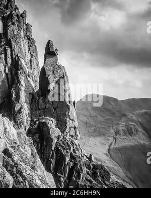 Questa immagine monocromatica mostra gli scalatori in azione scalando la formazione rocciosa di Napes Needle sul lato della montagna di Great Gable alla testa della valle di Wasdale nel Distretto Inglese del Lago essendo un obiettivo popolare come diritto di passaggio con gli scalatori di roccia di ogni generazione Foto Stock