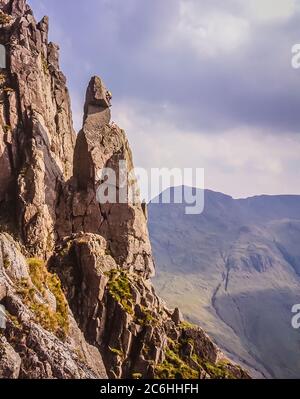 L'immagine mostra gli scalatori in azione scalando la formazione rocciosa di Napes Needle sul lato della montagna di Great Gable alla testa della valle di Wasdale nel Distretto Inglese del Lago essendo un obiettivo popolare come diritto di passaggio con gli scalatori di roccia di ogni generazione Foto Stock