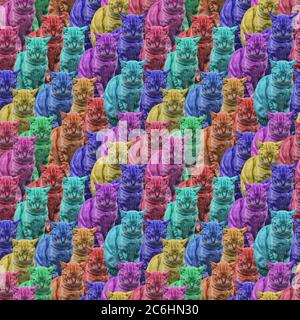 gatti sonnifatti divertenti multicolore, motivo senza cuciture Foto Stock