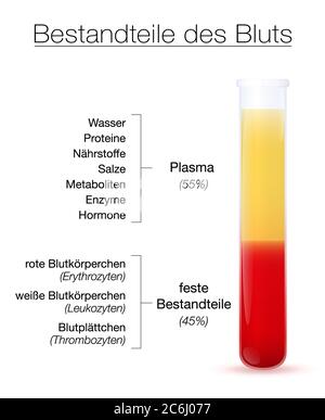 Componenti dell'infografica sul sangue, testo in tedesco. Provetta per analisi con plasma centrifugato e componenti solidi - globuli rossi e bianchi e piastrine. Foto Stock