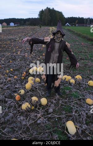 Concetto di festa di Halloween. Silhouette di scaventapasseri nel campo con zucche bianche su sfondo di cielo scuro di sera.simbolo di festa di autunno Foto Stock