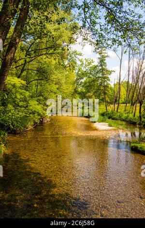 Italia Veneto Fontigo - natura Oasi Fontane bianche Foto Stock