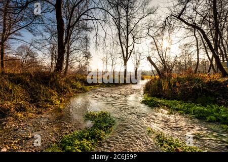 Italia Veneto Fontigo - natura Oasi Fontane bianche Foto Stock