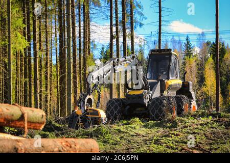 Ponsse Ergo, la raccoglitrice di foreste nel sito di disboscamento nella foresta di conifere autunnale. Vihti, Finlandia. 1° ottobre 2016. Foto Stock