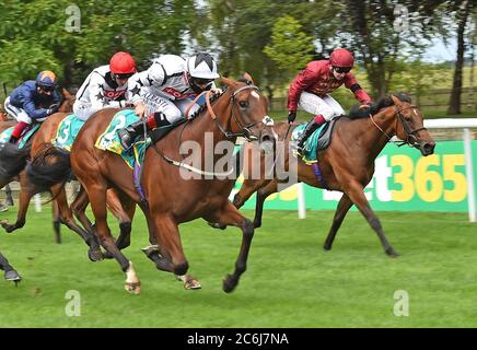 Dandalla e ben Curtis vincono la Duchessa di Cambridge Stakes durante il secondo giorno del Moet and Chandon July Festival presso l'ippodromo di Newmarket. Foto Stock