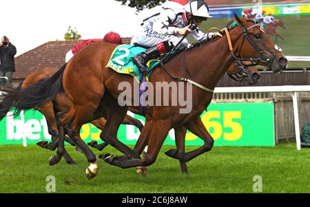 Dandalla e ben Curtis vincono la Duchessa di Cambridge Stakes durante il secondo giorno del Moet and Chandon July Festival presso l'ippodromo di Newmarket. Foto Stock