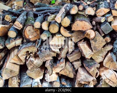 legna da ardere tagliata da alberi da frutta in palafoso esterno Foto Stock