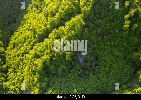 Vista panoramica dall'alto su una collina rocciosa coperta da una lussureggiante foresta. Foto Stock