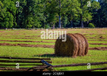 Un campo di fieno d'erba tagliata e un secchio rotondo vicino ad una recinzione della rotaia divisa vista dalla Natchez Trace Parkway in Mississippi. Foto Stock