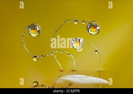 Le gocce d'acqua sono appese a fili metallici sottili e piegati che fuoriescono dall'acqua sopra la superficie su sfondo giallo. Foto Stock