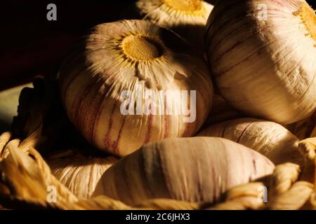 Macro primo piano di bulbi di aglio puro e isaltati in cesto di vimini illuminato dalla luce (fuoco al centro) Foto Stock