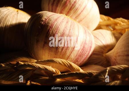 Macro primo piano di bulbi di aglio puro e isaltati in cesto di vimini illuminato dalla luce (fuoco al centro) Foto Stock