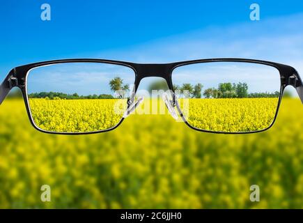 Immagine focalizzata del campo giallo nella cornice degli occhiali. Migliore concetto di visione. Foto Stock