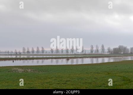 Vista invernale della mattina presto attraverso aller Moor e il fiume Sowey vicino a Burrowbridge sui livelli del Somerset con riflessi dell'albero nelle acque alluvionali. Foto Stock