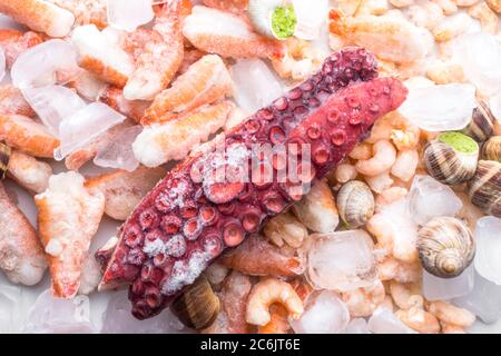 Assortimento di pesce surgelato su cubetti di ghiaccio, gamberi, polpi, lumache di molluschi Babylonia areolata, langostine, ricche di iodio, antiossidanti e vitam Foto Stock