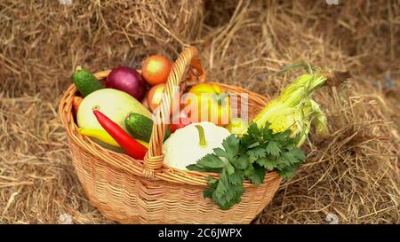 Verdure fresche in cesto di vimini. Raccolta estiva - zucchine, cetrioli, mais, peperoni, lattuga e cipolle in soggiorno in cesto di fieno. Bellezza in natura Foto Stock