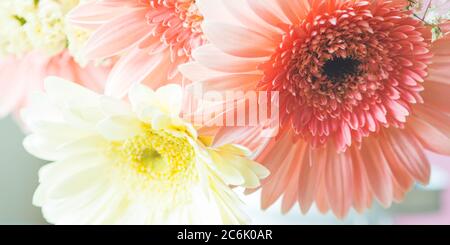 Gerbera gialla e rosa bouquet di fiori margherita Foto Stock