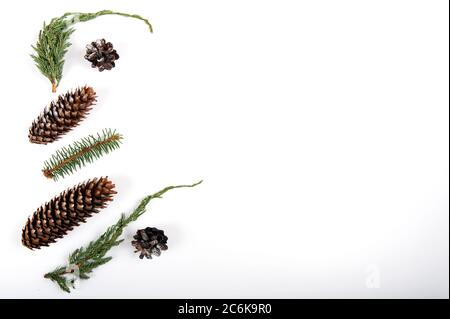 Mix casuale di coni di pino, coni di abete rosso, rametti di ginepro e abete rosso. Copiare lo spazio sul lato destro dell'immagine. Foto Stock