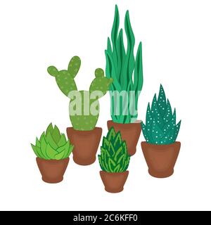succulenti e cactus in pentole disegnate a mano Foto Stock