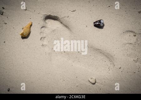 Impronte nella sabbia. Primo piano di impronte sulla spiaggia di sabbia con conchiglie Foto Stock