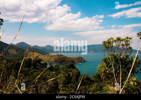 Foresta atlantica sulla costa brasiliana in Ilhabela, São Paulo, Brasile Foto Stock