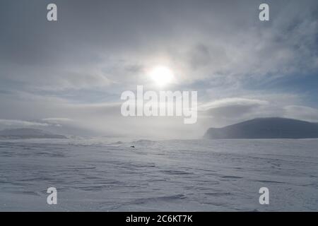 Dovrefjell National Park, dalla norvegia. Paesaggio artico. Foto Stock