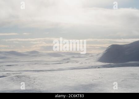 Dovrefjell National Park, dalla norvegia. Paesaggio artico. Foto Stock