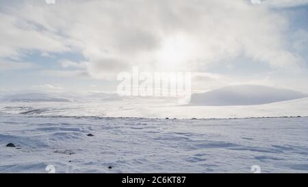 Dovrefjell National Park, dalla norvegia. Paesaggio artico. Foto Stock