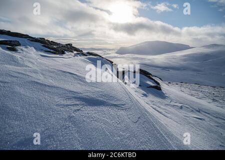 Dovrefjell National Park, dalla norvegia. Paesaggio artico. Foto Stock