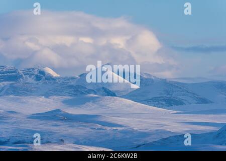 Dovrefjell National Park dalla Norvegia in inverno. Paesaggio artico Foto Stock