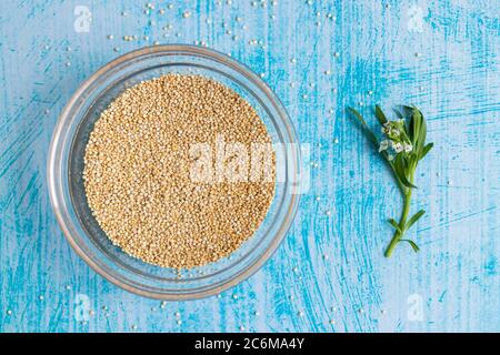 Grani di quinoa grezzi all'interno della ciotola trasparente, su tavola blu Foto Stock