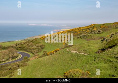 Guardando verso il mare da St Catherine's Down sull'Isola di Wight, in una soleggiata mattina di primavera Foto Stock