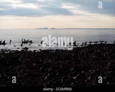 Melbourne vista attraverso Port Phillip Bay dal Monte Eliza. Foto Stock