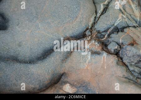 Un Rolling Stone raccoglie no moss Foto Stock
