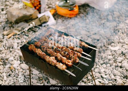 Shashlik marinato che si prepara su una griglia barbecue su carbone di legna con fumo Foto Stock