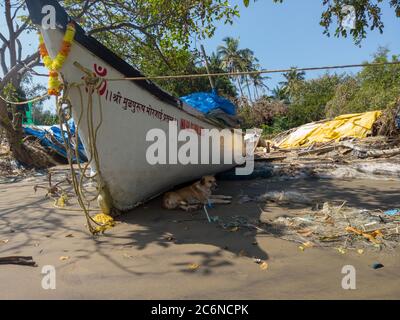 Morjim, India 14 dicembre 2019: Imbarcazione vuota sulla spiaggia di sabbia in giornata intensa. Grande vecchia barca bianca sul mare sabbioso pronta a navigare in giornata sulla spiaggia Foto Stock