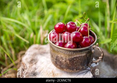 Amarena in estate in tazza d'argento vintage, foto all'aperto Foto Stock