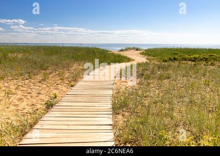 Percorso escursionistico ecologico nel parco nazionale attraverso dune di sabbia, spiaggia, boschetti e piante, percorso in legno attraverso ambiente protetto. pla selvaggio Foto Stock
