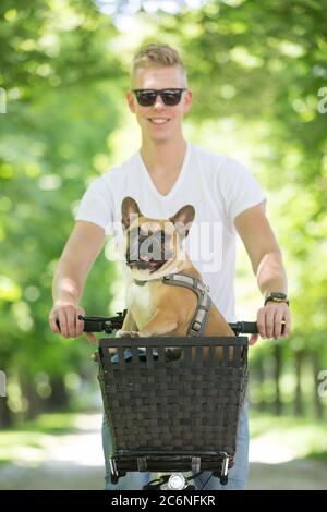 Il bulldog francese si diverse a cavallo nel cestino in bicicletta nel parco cittadino Foto Stock