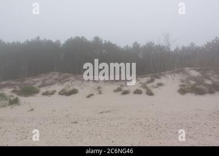 Spiaggia sul Mar Baltico in Polonia Foto Stock