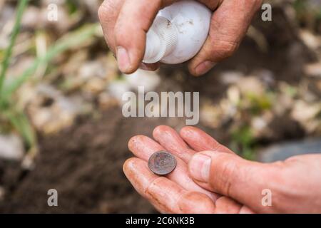 l'archeologo digger trovò una vecchia moneta antica e la lavò. Foto Stock