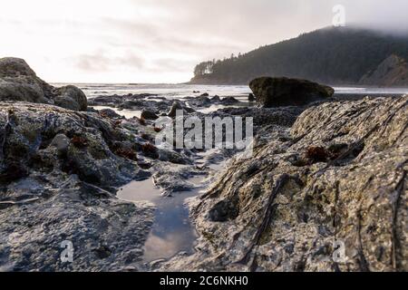 Pomeriggio di moody sulla costa dell'Oregon con nuvole basse e un po' di luce sulla costa rocciosa che conduce al punto di Cape Sebastian, nella parte meridionale di Orego Foto Stock